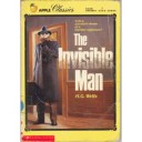 invisible man book summary