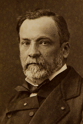 Louis Pasteur by Pierre Lamy Petit
