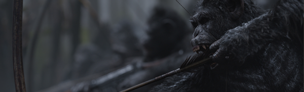 A chimp, armed with a bow and arrow and with white symbols painted on his chest, aims down to the bottom left of the screen. This is a still from the film war for the planet of the apes