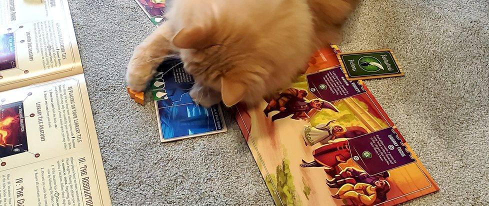 On top of a board game (Ex Libris) lays an orange cat.