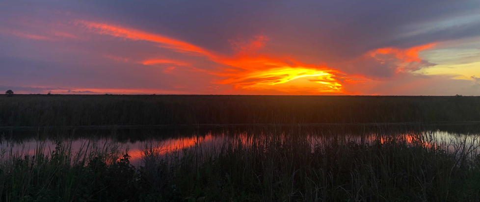 Sunset over the Florida Everglades.