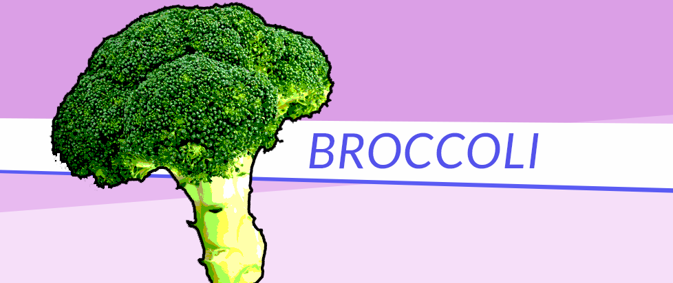 An approximation of the character art for Boyfriend Dungeon except it'sa piece of broccoli