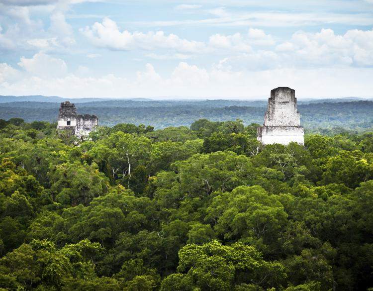 The very tops of the stone pyramids of Tikal can be seen above dense trees in Guatemala.