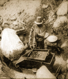 A sepia photo of a miner inspecting his haul.