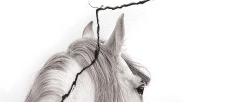 The mane of a white horse is seen from behind. Superimposed on the whole image, a large dark crack splits the a jagged vertical line.