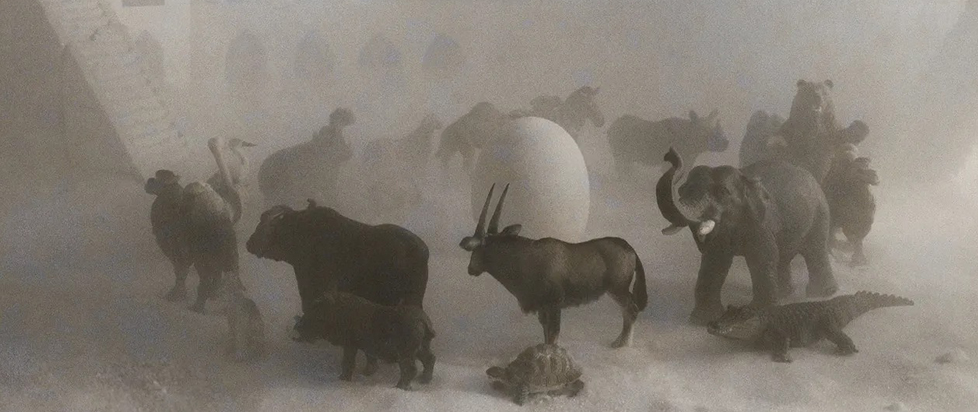 Detail from Shearwater's "The Great Awakening" album cover, featuring a black and white rendering of several animals circling a giant egg.