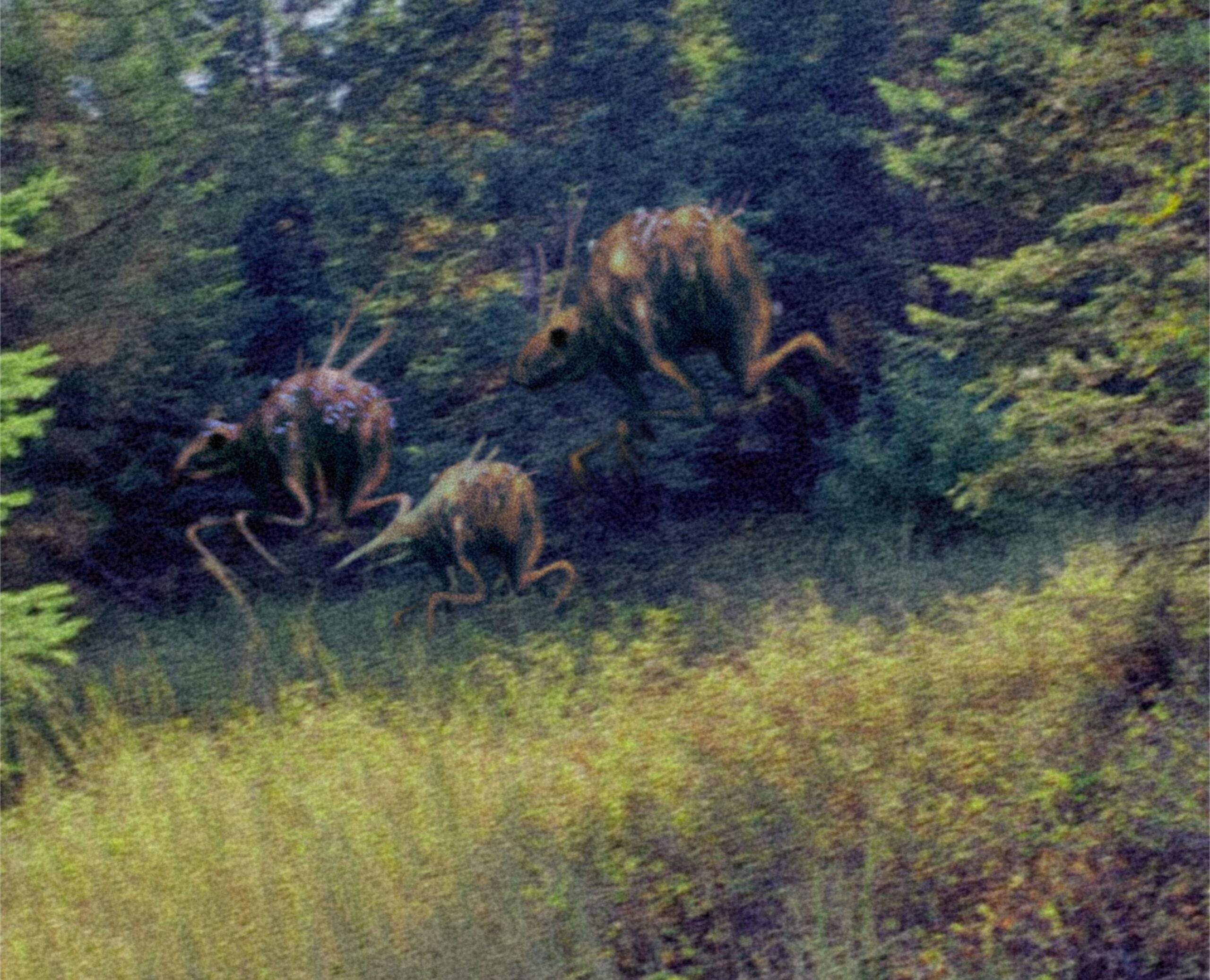 What seems to be a grainy photo of a trio of mutated animals running through a forest. They seem to be unholy hybrids of deer, rats, and I don't know, ancient incomprehensible gods?