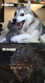A meme describing how insight works in Bloodborne, on the top is a picture of a smiling dog that says 0 insight, on the bottom is a smiling dog-like monstrosity in a similar pose as the dog but much more terrifying, with text that says 99 insight