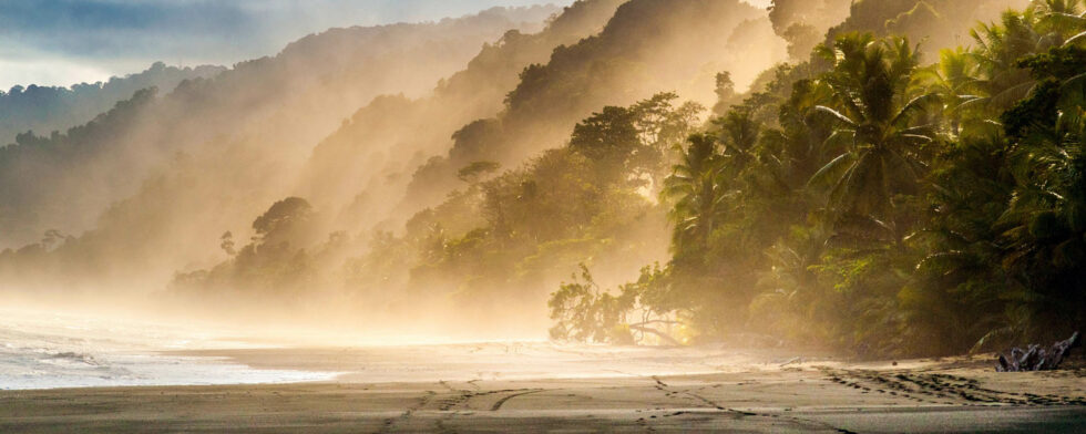 A misty sun-drenched Costa Rican beach at golden hour, the sands lined with palms and lush rolling hills rising up in the distance.