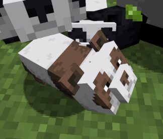 A baby Minecraft panda looks upwards as its parents hover in the background.