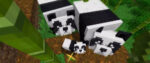 A trio of Minecraft pandas looks up through a blocky bamboo grove.
