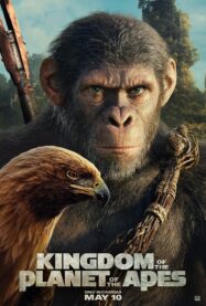 The poster for Kingdom of the Planet of the Apes with a chimpanzee staring at the viewer with startling blue eyes and a rifle on his back and hawk at his side