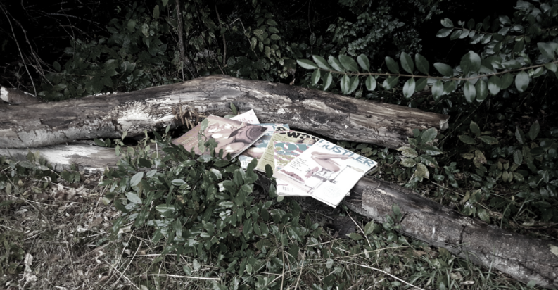 A smattering of porn mags lie spread out invitingly across a half-rotted log in the woods.