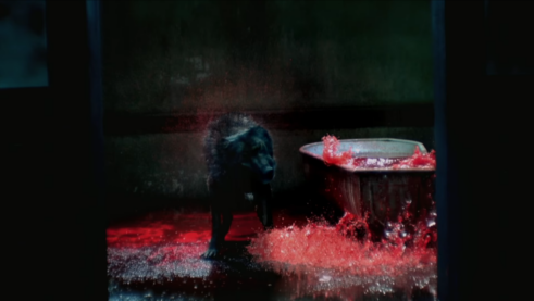 A screenshot from the trailer for The Cell where a black dog is in a weathered industrial room shaking off water but it's actually red like blood and there's a tub full of it next to the dog