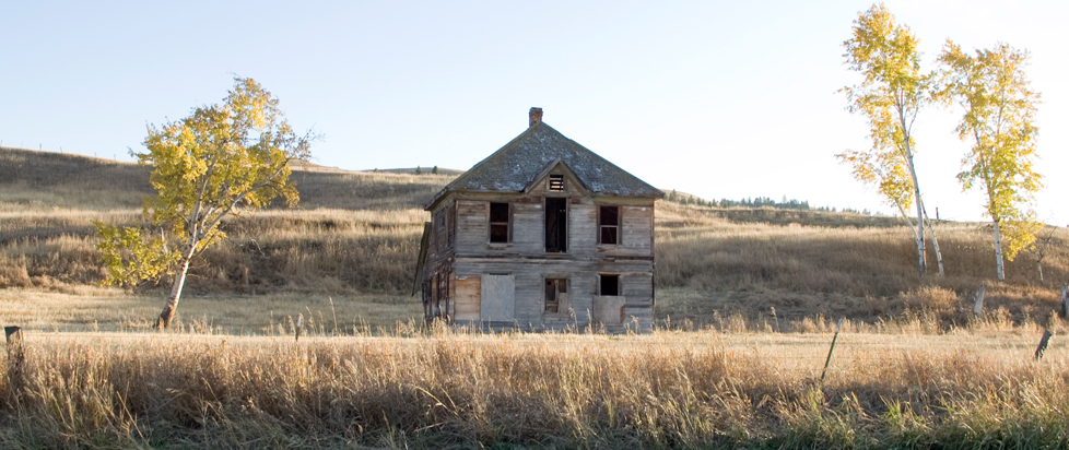 A lonely, derelict house sits solemnly in a field of long grass.