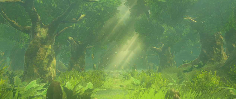 A beautiful, sunlit meadow in the woods.