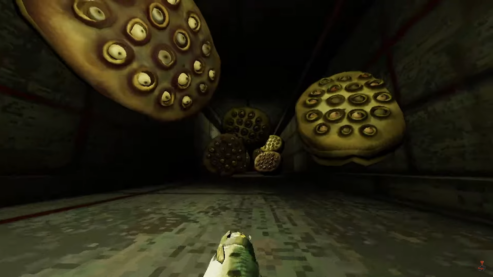 A screenshot from How Fish is Made where the player fish is staring down a hallway with a bunch of large circles with multiple eyes it's honestly hard to describe